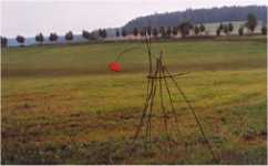 Weiter zur Bildgalerie Weiter zur Bildgalerie