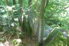 Weiter zur Bildgalerie Weiter zur Bildgalerie